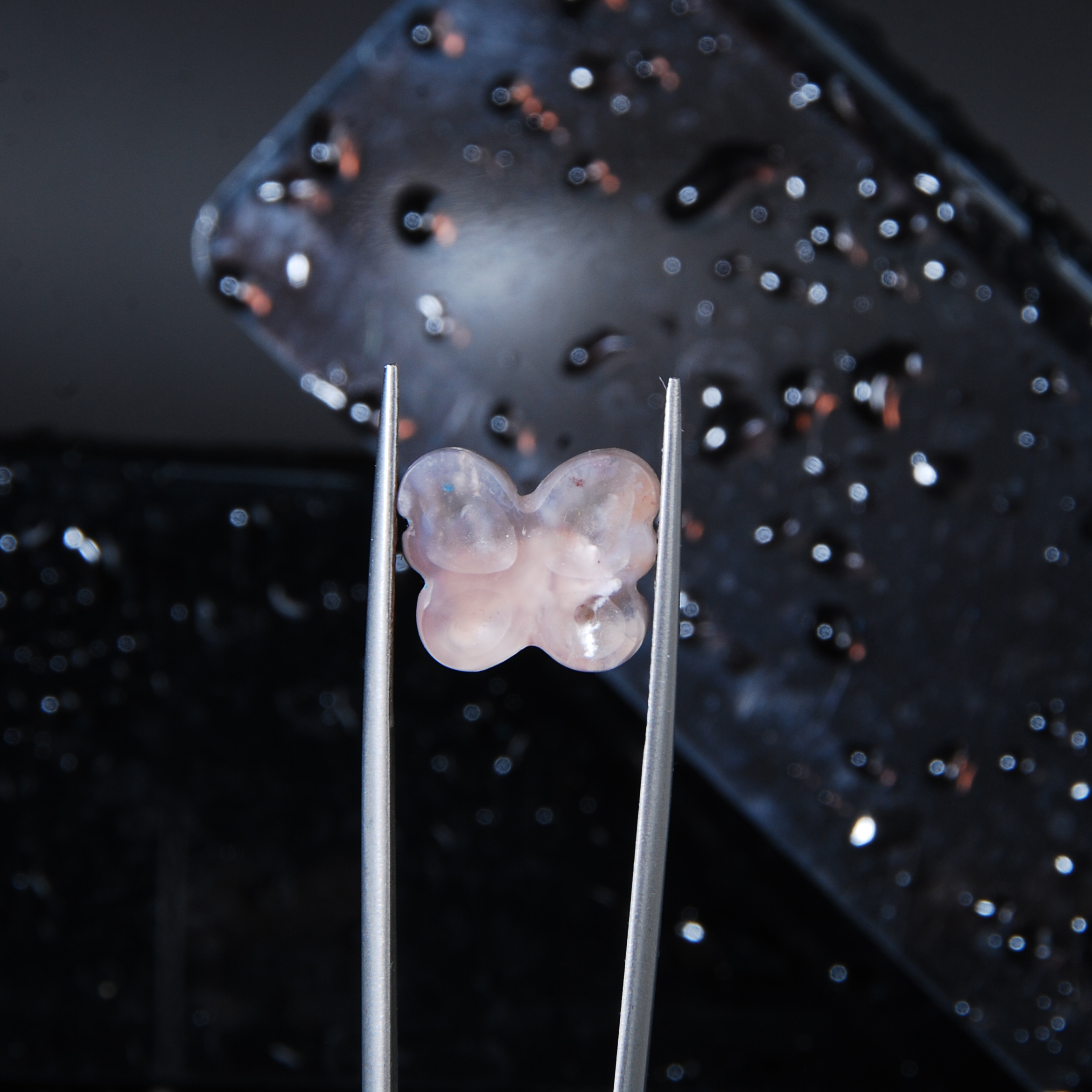 پروانه عقیق