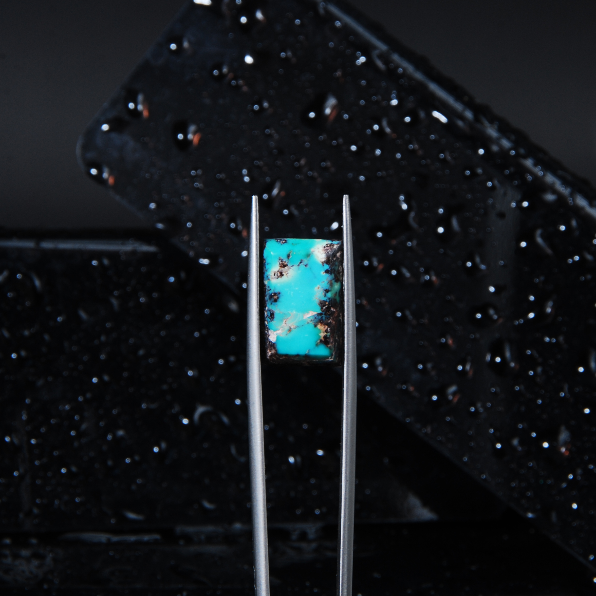 DSC_5975 فیروزه نیشابور