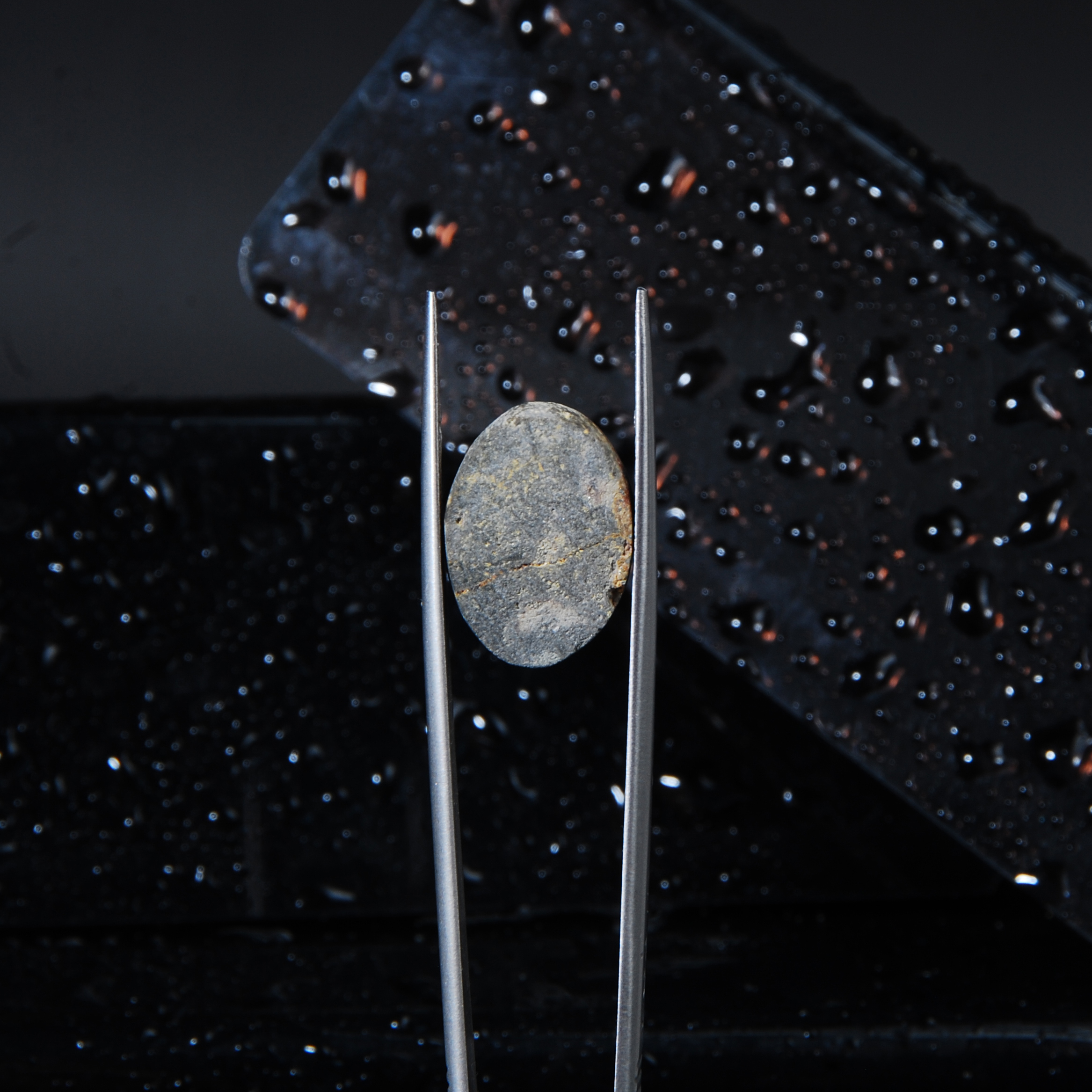 فیروزه نیشابور