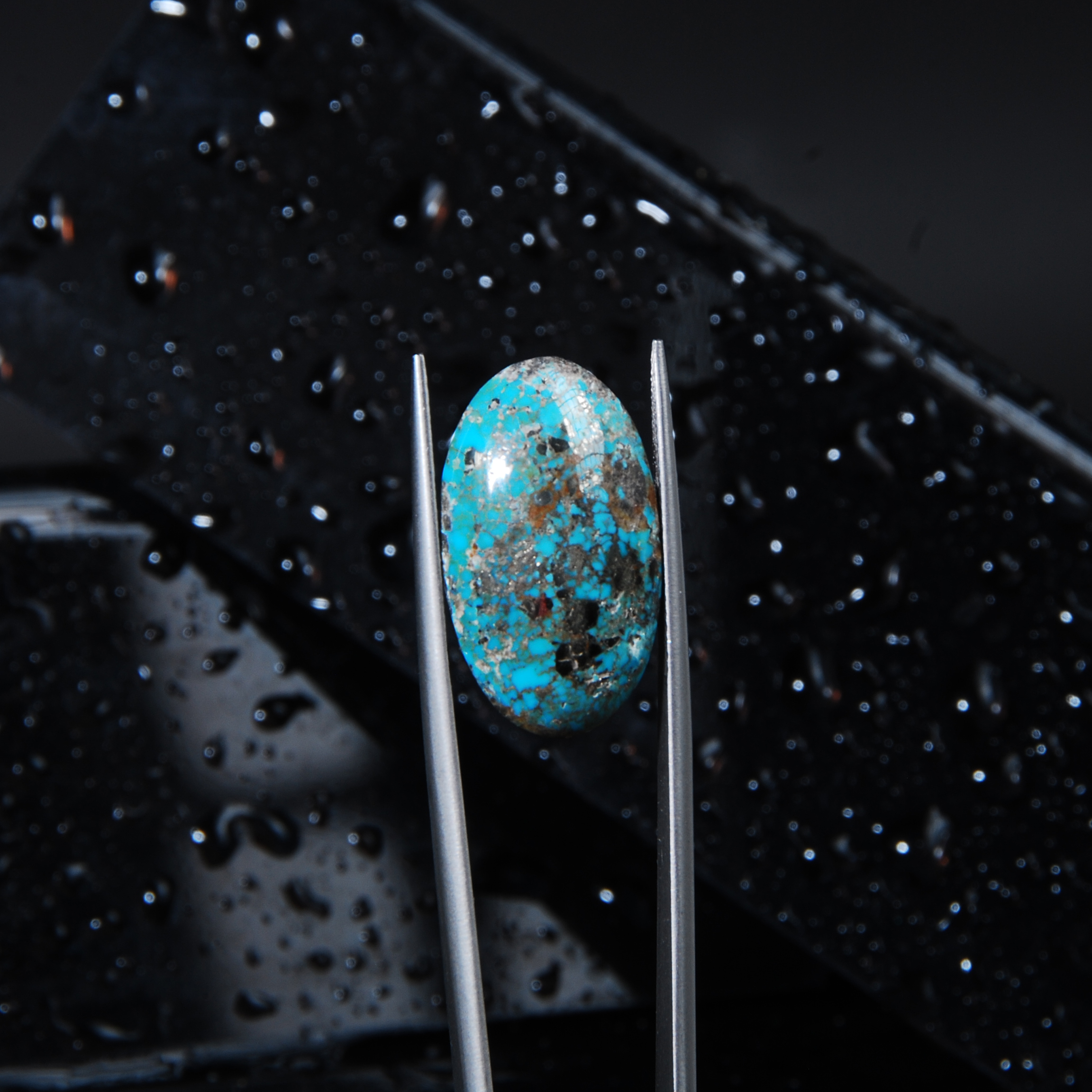 DSC_5983 فیروزه طبیعی