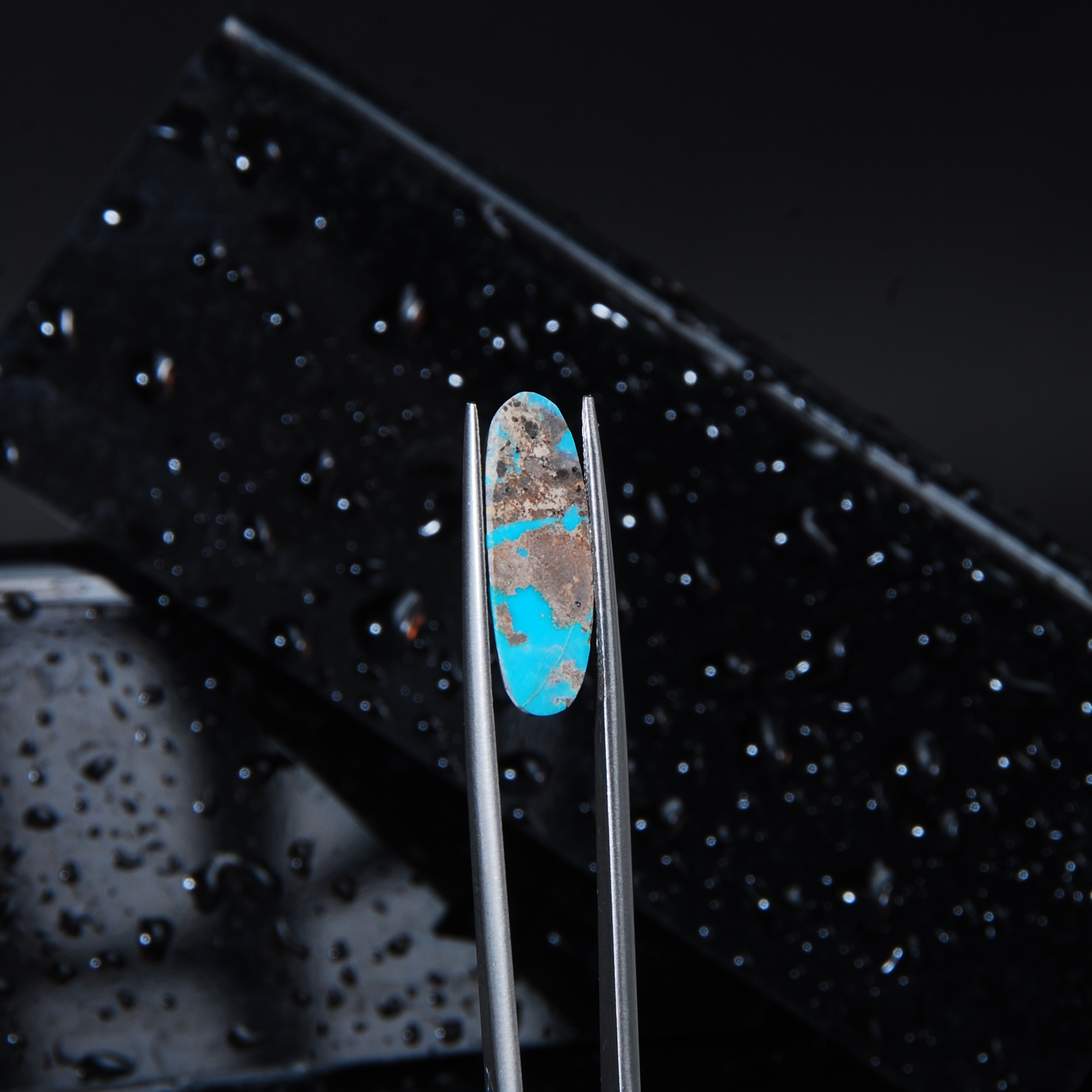 DSC_6004 فیروزه ایرانی