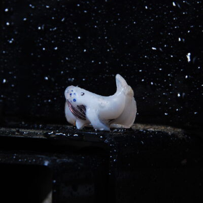 انگشتر عقیق نهنگ دو پوسته سفید 7.19 گرم