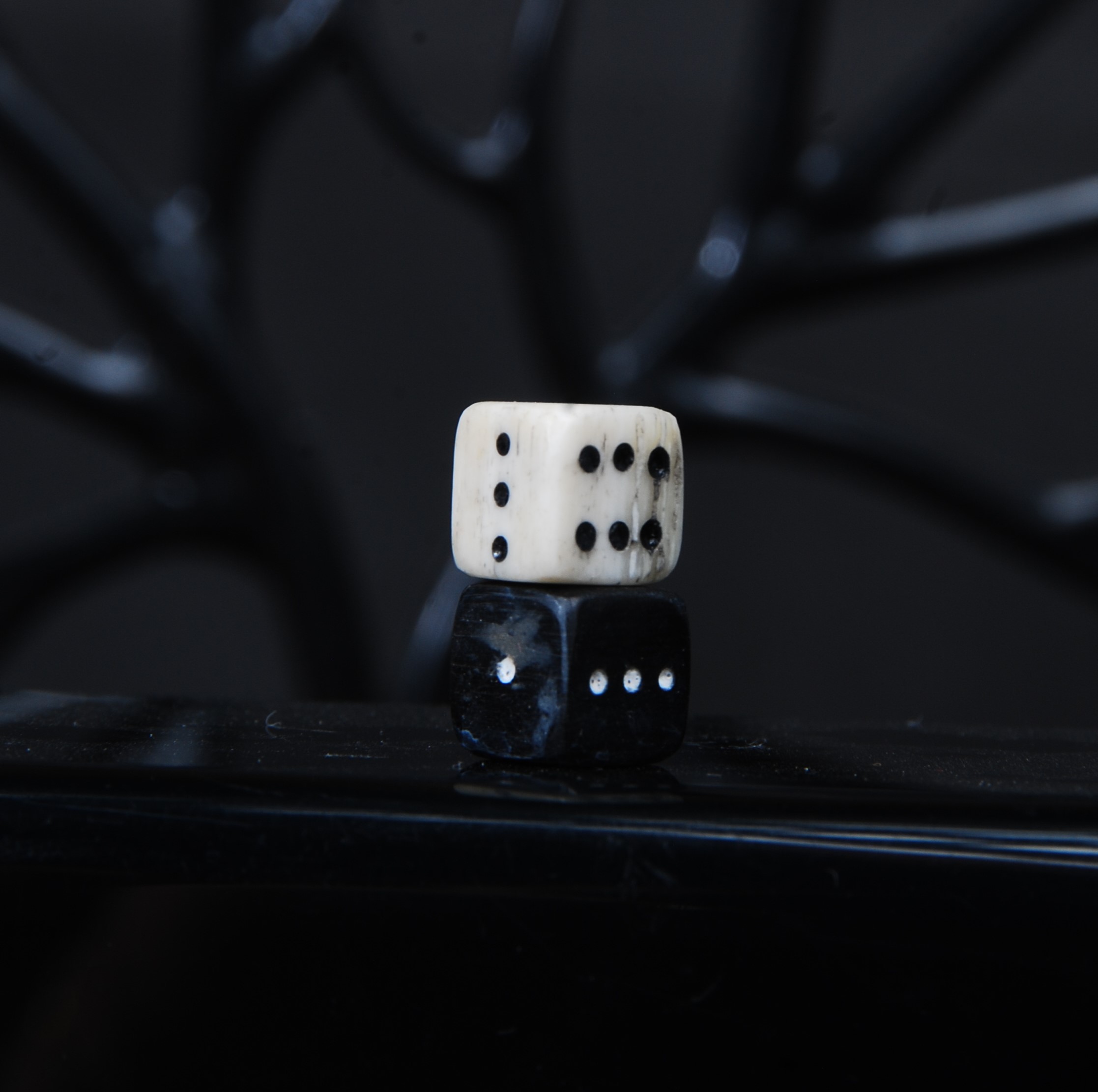 DSC_8760 تاس استخوان شتر و شاخ گاومیش مشکی اصل تراش دست 6گرمی