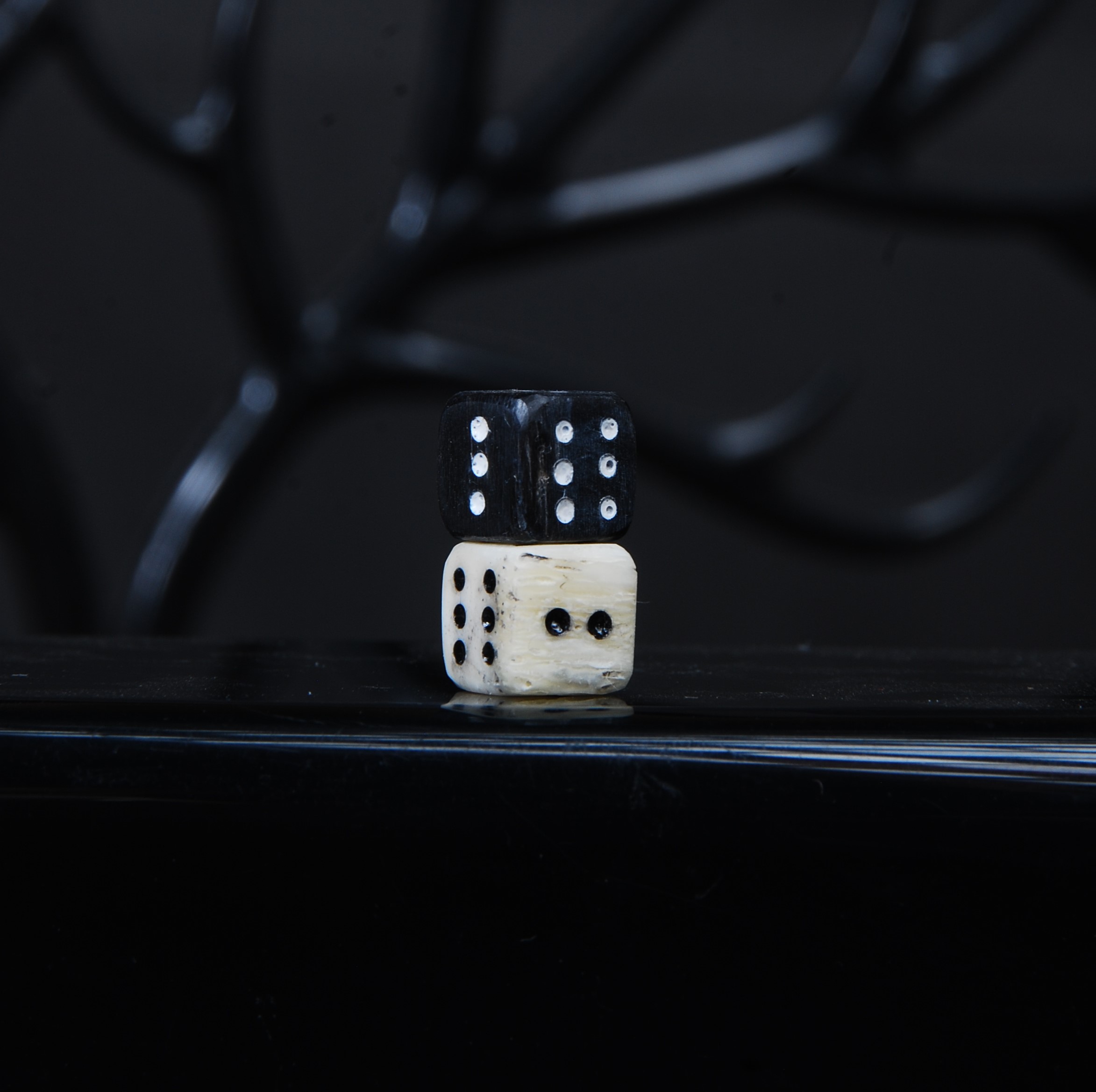 DSC_8776 تاس استخوان شتر و شاخ گاومیش مشکی 6گرمی