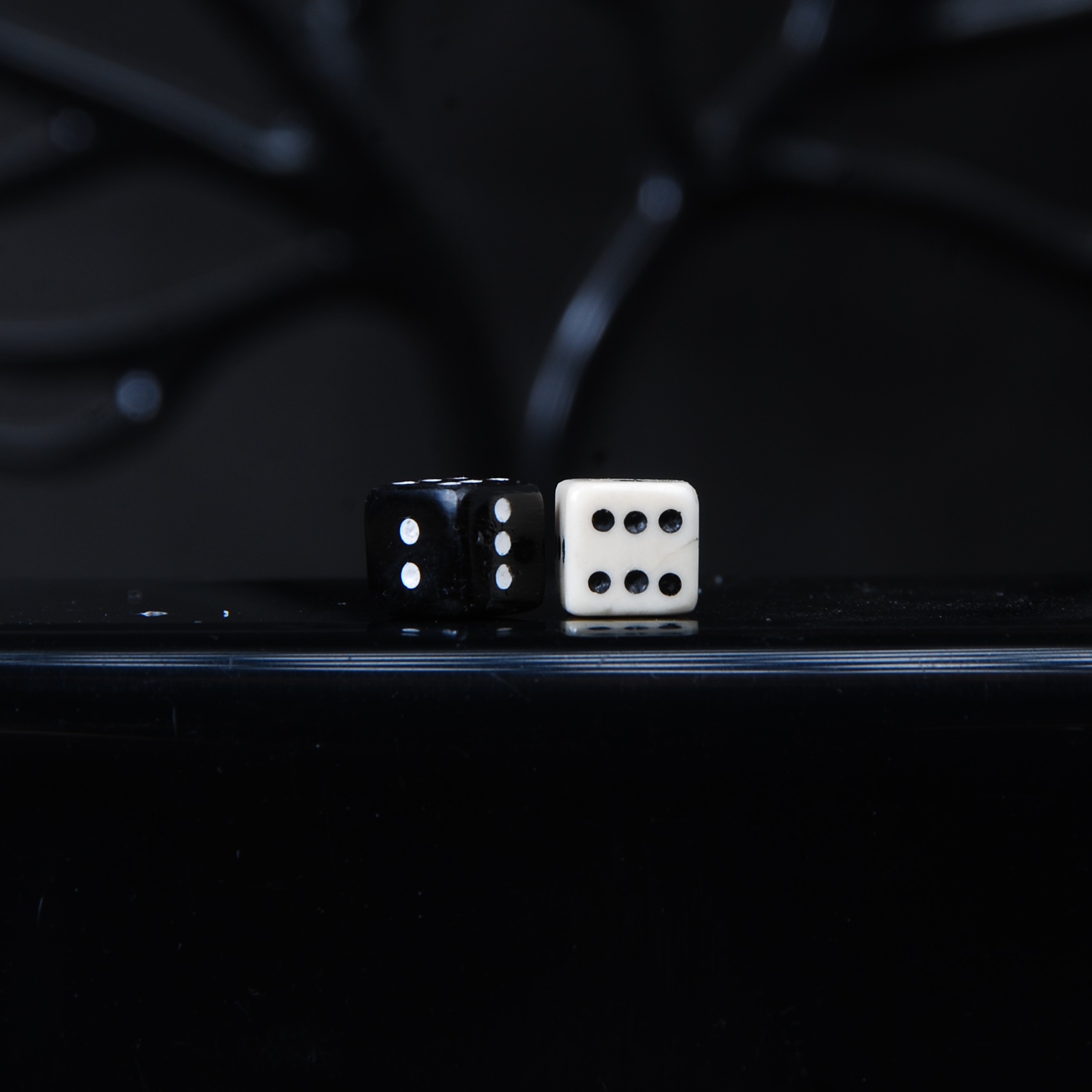 DSC_9749 تاس استخوان شتر و شاخ گاومیش مشکی 8میل 3گرمی